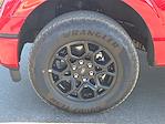 New 2025 Ford F-150 XLT SuperCrew Cab for sale #1565372 - photo 10