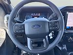 2025 Ford F-150 SuperCrew Cab 4x2 Pickup for sale #1566125 - photo 11