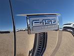 2025 Ford F-150 SuperCrew Cab 4WD Pickup for sale #1566858 - photo 8