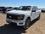 2025 Ford F-150 SuperCrew Cab 4WD Pickup for sale #1567239 - photo 1