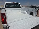 2025 Ford F-150 SuperCrew Cab 4x4 Pickup for sale #1570553 - photo 8