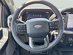 2025 Ford F-150 SuperCrew Cab 4x4 Pickup for sale #1570564 - photo 11