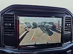 New 2025 Ford F-150 STX SuperCrew Cab for sale #1571758 - photo 13