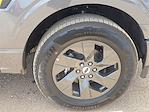 New 2025 Ford F-150 STX SuperCrew Cab Pickup for sale #1571775 - photo 7