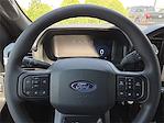 2025 Ford F-150 SuperCrew Cab 4x4 Pickup for sale #1572497 - photo 19