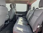 New 2025 Ford F-250 XL Crew Cab 4x4 Pickup for sale #1573059 - photo 14