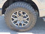 2025 Ford F-150 SuperCrew Cab 4WD Pickup for sale #1574586 - photo 10