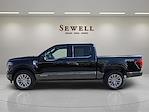 2025 Ford F-150 SuperCrew Cab 4WD Pickup for sale #1574964 - photo 2