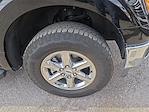 2025 Ford F-150 SuperCrew Cab 4WD Pickup for sale #1575201 - photo 7