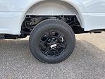 2025 Ford F-250 Crew Cab 4x4 Pickup for sale #1575562 - photo 9