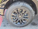 2025 Ford F-150 SuperCrew Cab 4WD Pickup for sale #1575591 - photo 10