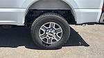 New 2025 Ford F-350 XLT Crew Cab 4x4 SRW Pickup for sale #1576635 - photo 20