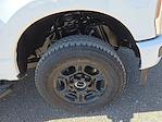 2025 Ford F-250 Super Cab 4WD Pickup for sale #1576746 - photo 7