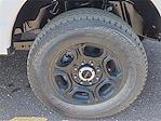 2025 Ford F-250 Crew Cab 4x4 Pickup for sale #1577533 - photo 7