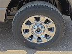 2025 Ford F-350 Crew Cab SRW 4x4 Pickup for sale #1578742 - photo 7