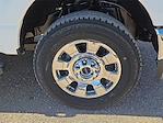 2025 Ford F-350 Crew Cab SRW 4WD Pickup for sale #1578867 - photo 7