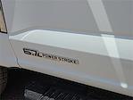2025 Ford F-350 Crew Cab DRW 4x4 Cab Chassis for sale #1579908 - photo 8