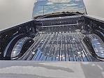 2025 Ford F-250 Crew Cab 4x4 Pickup for sale #1579940 - photo 8