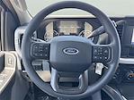 2025 Ford F-250 Crew Cab 4x4 Pickup for sale #1584136 - photo 11