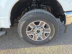 2025 Ford F-250 Crew Cab 4WD Pickup for sale #1584525 - photo 7
