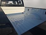 2025 Ford F-250 Crew Cab 4WD Pickup for sale #1584525 - photo 9