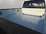 2025 Ford F-250 Crew Cab 4WD Pickup for sale #1585072 - photo 9
