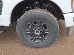 2025 Ford F-250 Crew Cab 4WD Pickup for sale #1585167 - photo 7
