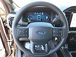2025 Ford F-150 SuperCrew Cab 4WD Pickup for sale #1585675 - photo 16