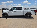 2025 Ford F-150 SuperCrew Cab 4x4 Pickup for sale #1587179M - photo 2