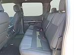 New 2025 Ford F-150 STX SuperCrew Cab 4WD Pickup for sale #1592484 - photo 13