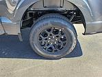 2025 Ford F-150 SuperCrew Cab 4WD Pickup for sale #1592492 - photo 10