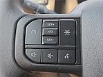 2025 Ford F-150 SuperCrew Cab 4x4 Pickup for sale #1593260 - photo 16