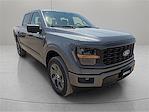 2025 Ford F-150 SuperCrew Cab 4x4 Pickup for sale #1593260 - photo 6