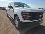 New 2025 Ford F-150 XL SuperCrew Cab 4x4 Pickup for sale #1595647 - photo 6