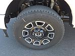 2025 Ford F-250 Crew Cab 4WD Pickup for sale #1597303 - photo 9