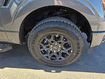2025 Ford F-150 SuperCrew Cab 4WD Pickup for sale #1597437 - photo 7