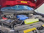 2025 Ford F-150 SuperCrew Cab 4WD Pickup for sale #1598215M - photo 22
