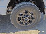 2025 Ford F-250 Crew Cab 4WD Pickup for sale #1598887 - photo 7