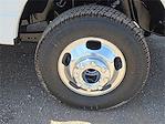 2025 Ford F-350 Crew Cab DRW 4x4 Pickup for sale #1599129 - photo 7