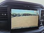 New 2026 Ford F-150 XLT SuperCrew Cab for sale #1604793 - photo 13