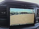 2026 Ford F-150 SuperCrew Cab 4WD Pickup for sale #1616696 - photo 13