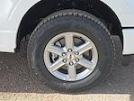 New 2026 Ford F-150 XLT SuperCrew Cab for sale #1618198 - photo 27