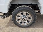 2026 Ford F-250 Crew Cab 4WD Pickup for sale #1624342 - photo 8