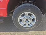 2026 Ford F-250 Crew Cab 4WD Pickup for sale #1633391 - photo 20