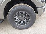 New 2026 Ford F-150 Tremor SuperCrew Cab for sale #1641251 - photo 7