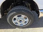 New 2026 Ford F-350 XLT Crew Cab for sale #1642538 - photo 7