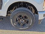2026 Ford F-250 Crew Cab 4WD Pickup for sale #1645832 - photo 7