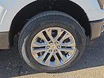 New 2026 Ford F-150 King Ranch SuperCrew Cab for sale #1669850 - photo 7