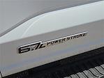2024 Ford F-550 Regular Cab DRW 4x4 Cab Chassis for sale #422759 - photo 10