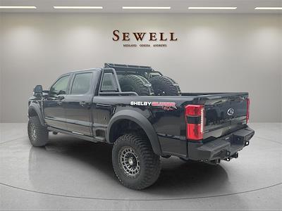 2024 Ford F-250 Crew Cab 4x4 Pickup for sale #482820 - photo 2